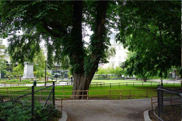 Berzelii Park in Stockholm. Photo: Ray Swi-hymn. (CC BY-SA 2.0).