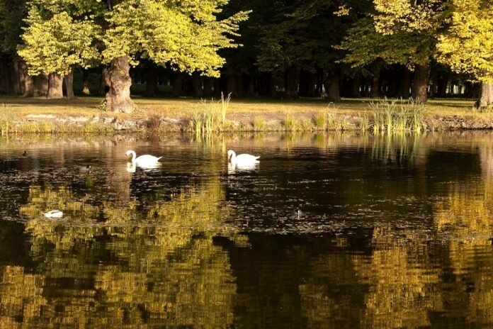 Drottningholm Palace Park. Photo: Evunji - Own work (CC BY-SA 3.0)