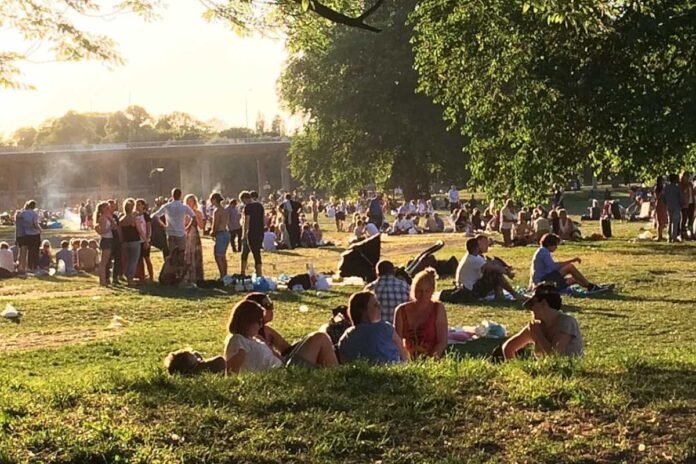 Summer evening in Rålambshovsparken, Stockholm.