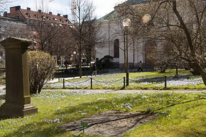 Adolf Fredrik's Church in central Stockholm, memorial grove. Photo: I99pema (CC BY-SA 3.0)