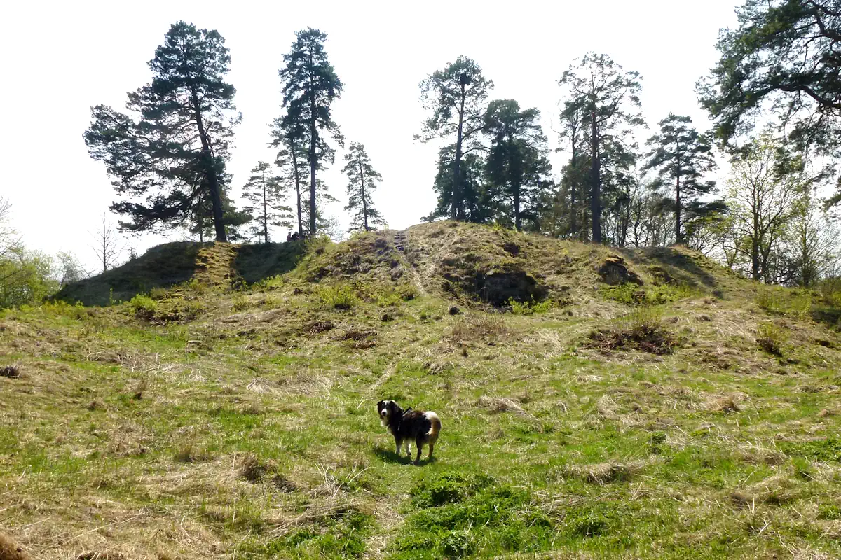 The ruin mound of the fortress at Almare Stäket north of Stockholm. Photo: Holger.Ellgaard (CC BY-SA 3.0)