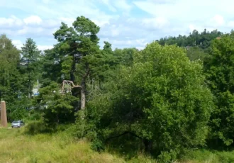 View to the north from the ruin mound at Almare-Stäket. Lake Mälaren in the background. Photo: Holger.Ellgaard (CC BY-SA 4.0)
