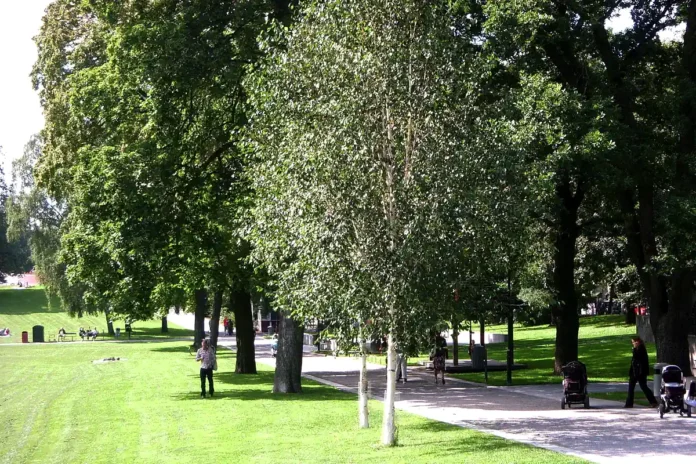 Vasaparken along Odengatan in Vasastan, Stockholm. Photo: Holger.Ellgaard (CC BY-SA 3.0)
