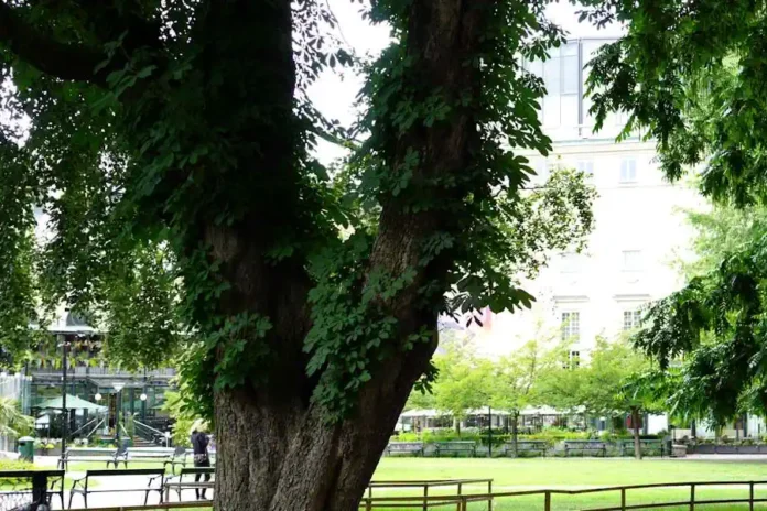 View towards Berns of the Berzelii park in Stockholm. Photo: Ray Swi-hymn (CC BY-SA 2.0).