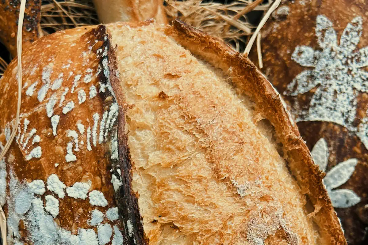 Sourdough bread has made a strong comeback—fermented the old-fashioned way.