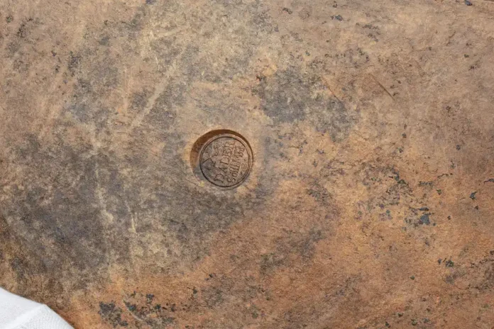 The world's largest coin (10 daler silver coin), made in 1644 during the reign of Queen Christina. Photo: Jens Mohr, Ekonomiska museet – Kungliga myntkabinettet/SHM