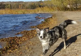 It seems like everyone loves water. Photo: Holger.Ellgaard (CC BY-SA 4.0)