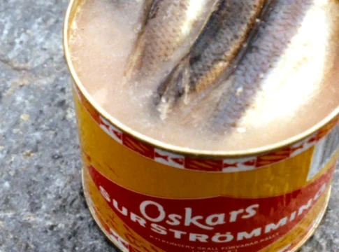 Surströmming is a unique fermented fish delicacy from northern Sweden. Photo: Lapplaender (CC BY-SA 4.0)