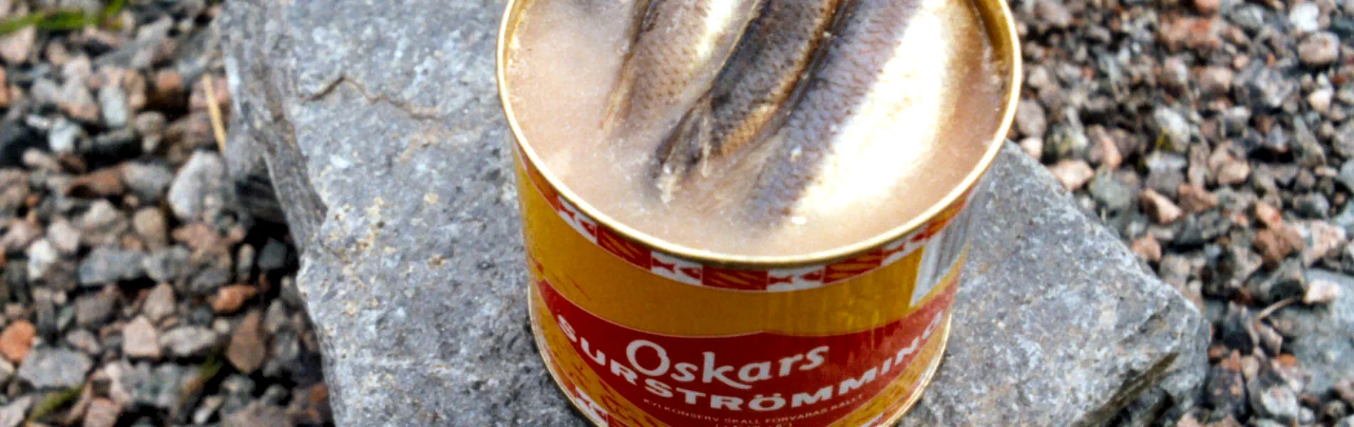 Surströmming is a unique fermented fish delicacy from northern Sweden. Photo: Lapplaender (CC BY-SA 4.0)