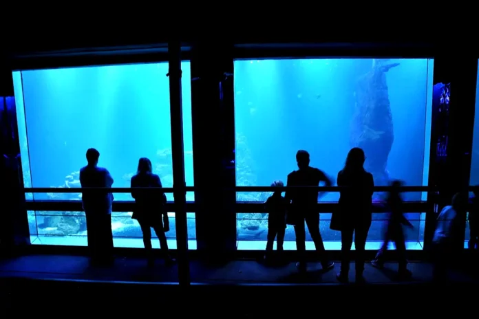 Interior view from the Butterfly House Haga Ocean just north of central Stockholm. Photo: Guillaume Baviere (CC BY-SA 2.0)