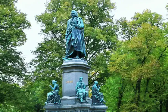 Humlegården in Stockholm, statue of the Swedish botanist Carl von Linné. Photo: Øyvind Holmstad (CC BY-SA 4.0)