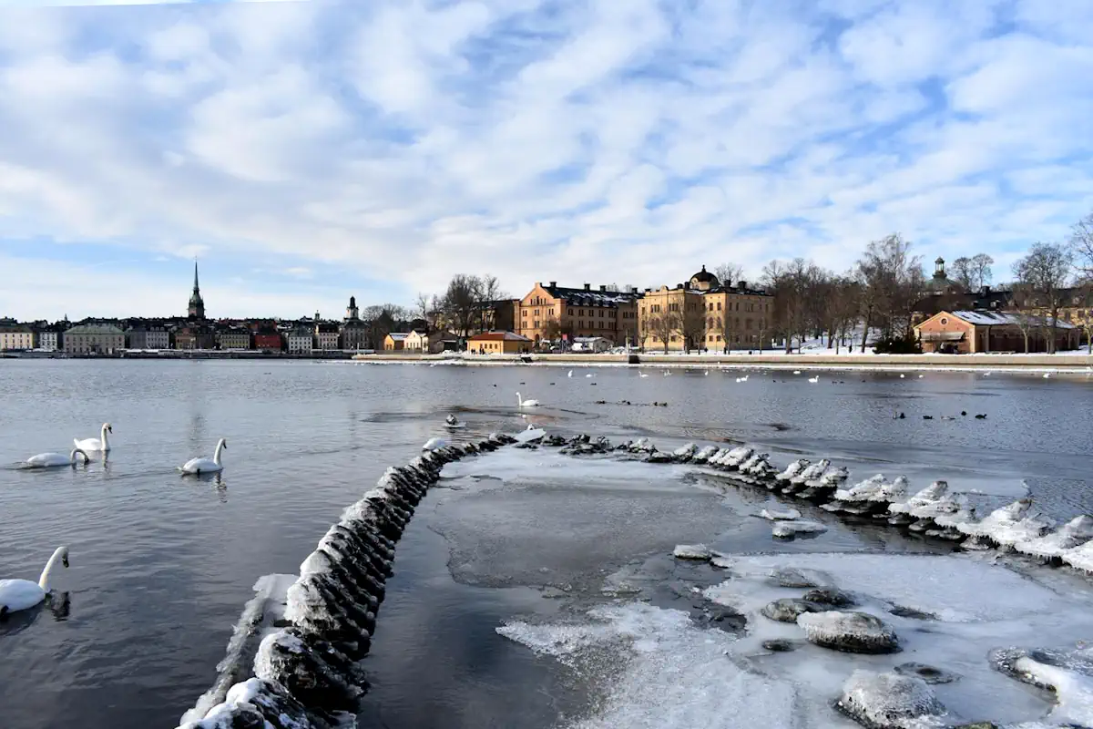 The Baltic Sea’s low water level in 2026 made it possible to walk onto the shipwreck at Kastellholmen. Photo: © StockholmMuseum.com