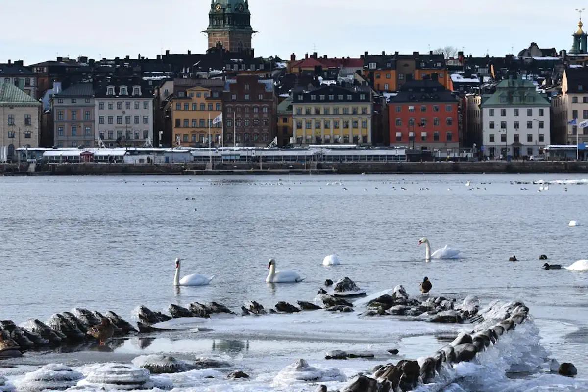 View toward Skeppsbron and Gamla Stan from the shipwreck on Kastellholmen. Photo: © StockholmMuseum.com
