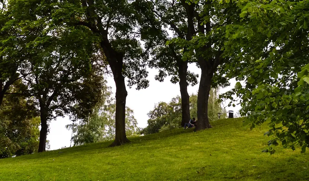 Lush greenery and tranquil paths in Kronobergsparken, a peaceful oasis in the heart of Kungsholmen, Stockholm. Photo: Francisco Anzola (CC BY 2.0)