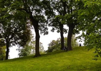 Lush greenery and tranquil paths in Kronobergsparken, a peaceful oasis in the heart of Kungsholmen, Stockholm. Photo: Francisco Anzola (CC BY 2.0)