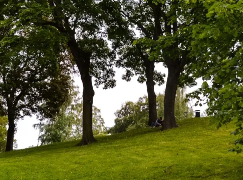 Kronobergsparken: A Quiet Hilltop Escape