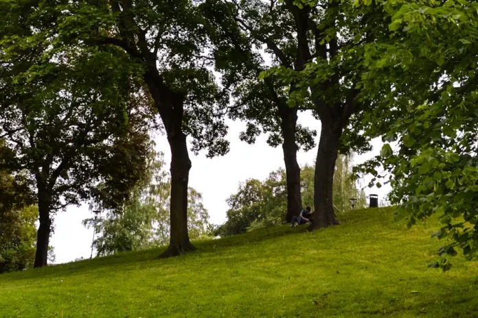 Lush greenery and tranquil paths in Kronobergsparken, a peaceful oasis in the heart of Kungsholmen, Stockholm. Photo: Francisco Anzola (CC BY 2.0)