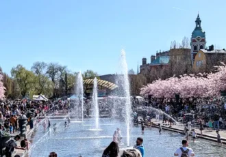 Cherry blossoms in Kungsträdgården in central Stockholm, typically in full bloom in April. Photo: AleWi (CC BY-SA 4.0)