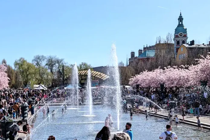 Cherry blossoms in Kungsträdgården in central Stockholm, typically in full bloom in April. Photo: AleWi (CC BY-SA 4.0)