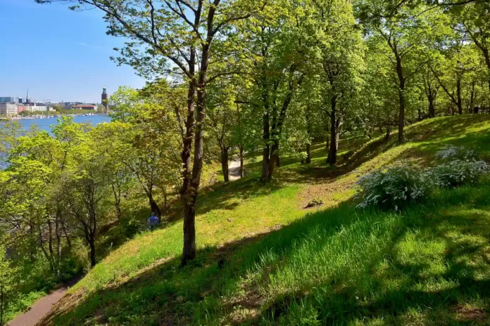 Långholm Park on Långholmen in Stockholm. Photo: Johan Fredriksson (CC BY-SA 3.0)