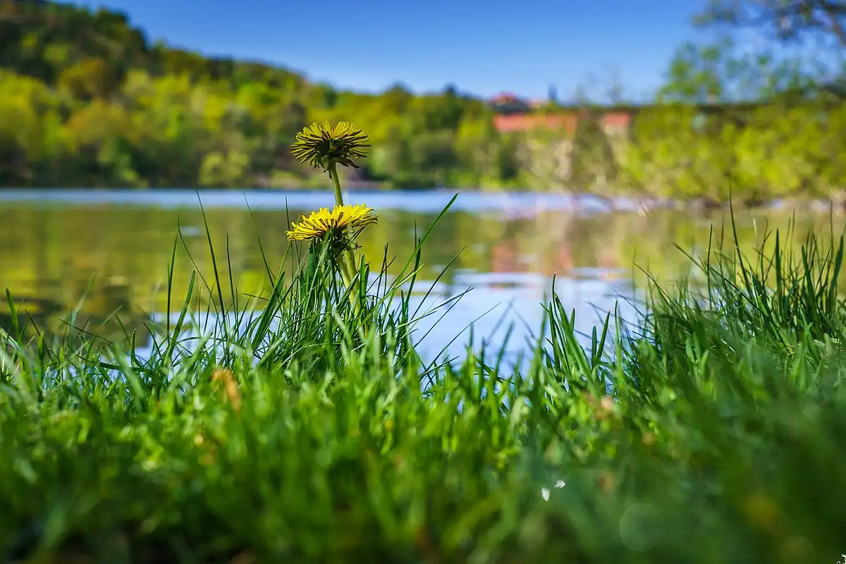 Trekanten is a beautiful pond located right next to central Liljeholmen. Photo: Tommie Hansen (CC BY 3.0)