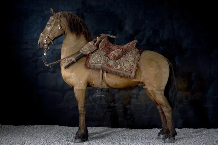 Streiff, the king's horse from the battle of Lützen 1632. Photo: LSH 7240 (Public domain)