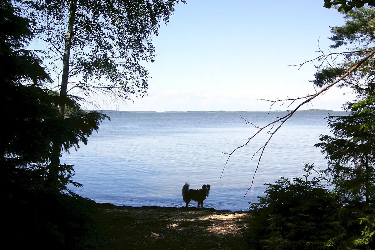 Lake Mälaren looking north from Adelsön, an island just north of Birka outside Stockholm. Photo: Holger.Ellgaard (CC BY-SA 3.0)