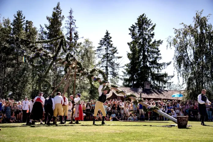 The maypole at Skansen being raised on Midsummer’s Eve.