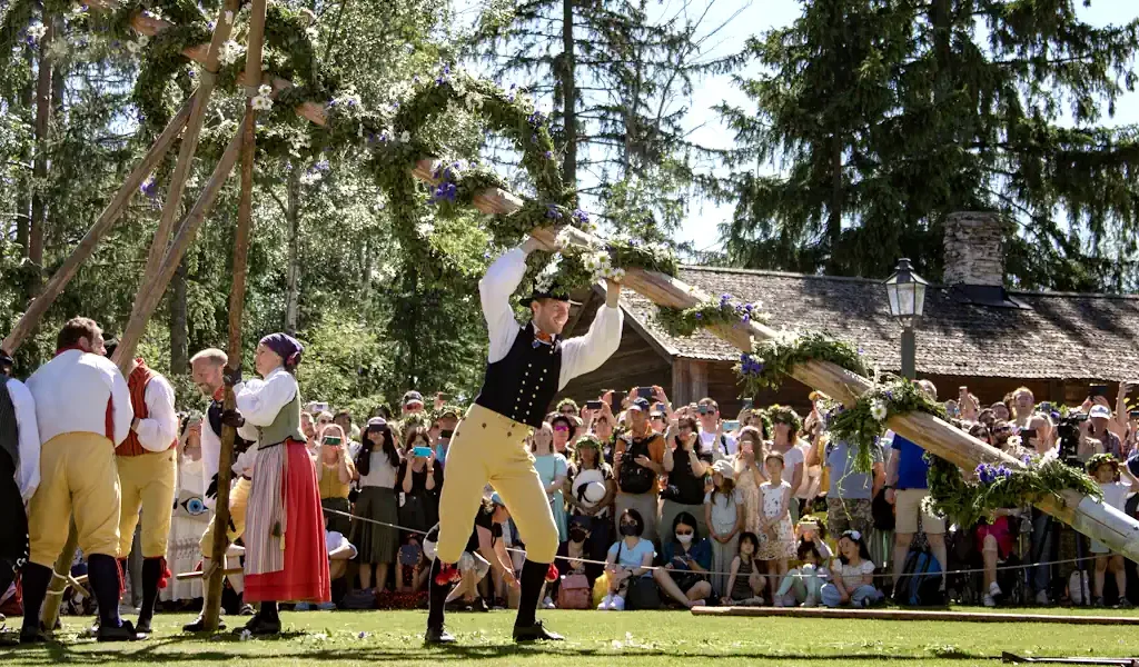 The maypole at Skansen is raised in the traditional manner. Photo: Therese Jahnson/Skansen