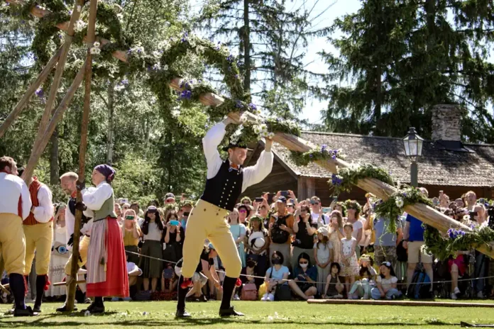 The maypole at Skansen is raised in the traditional manner. Photo: Therese Jahnson/Skansen