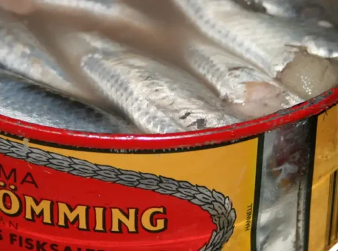 Surströmming: Sweden’s Fermented Herring Tradition