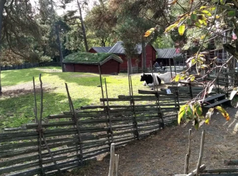 Torekällberget: Discover 19th-Century Swedish Life in Södertälje