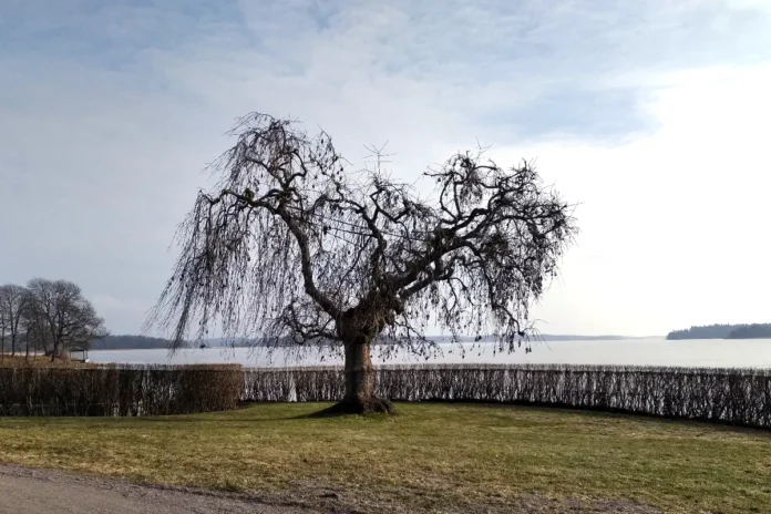 Tullgarn Palace, view towards Tullgarn Bay, the Baltic Sea. Photo: © StockholmMuseum.com