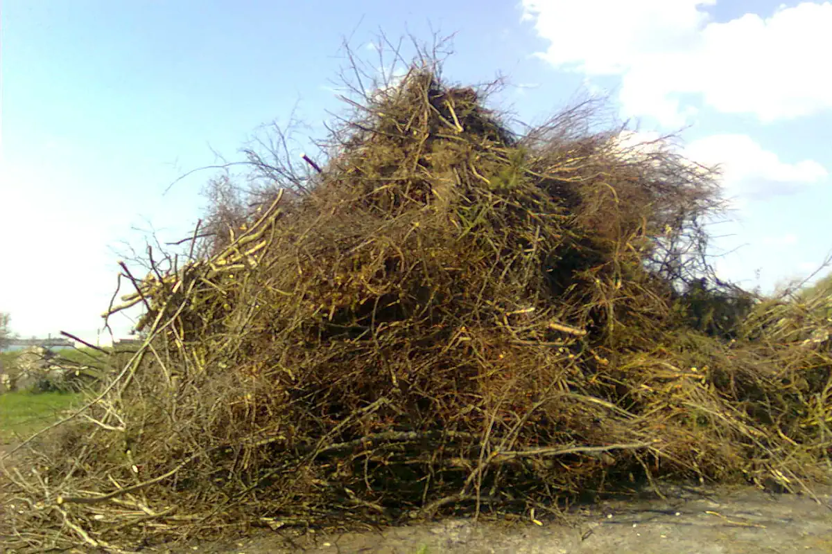 Across Sweden, people gather these piles of tree branches, which are then set alight in connection with Walpurgis Night.