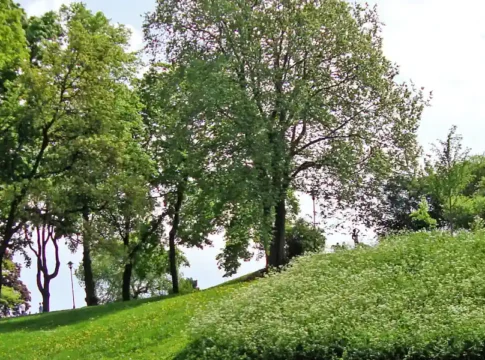 Vanadislunden: A Green Oasis in Vasastaden