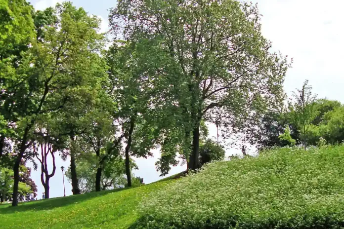 Vanadislunden winds its way up Brunkebergsåsen in central Stockholm. Photo: Koyos (Public Domain)