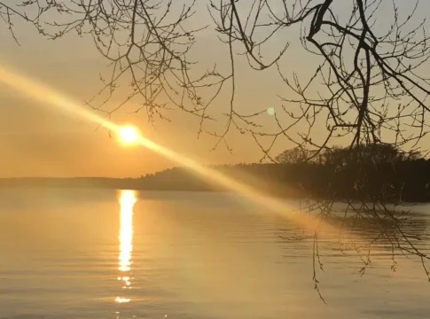 Vinterviken: Nature and History by Lake Mälaren