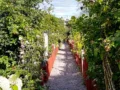 Barnängen's allotment garden in Vitabergen on Södermalm in Stockholm. Photo: © StockholmMuseum.com