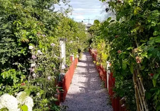 Barnängen's allotment garden in Vitabergen on Södermalm in Stockholm. Photo: © StockholmMuseum.com